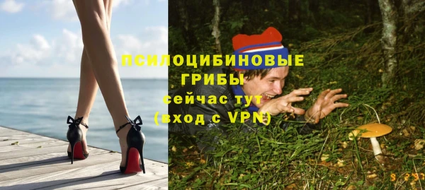 apvp Алзамай