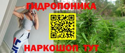 стаф Коммунар