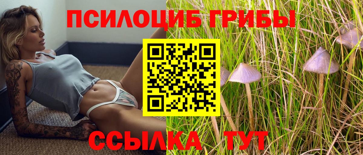 Псилоцибиновые грибы Psilocybe  Псилоцибиновые грибы мухоморы  Крымск  Вход с VPN 
