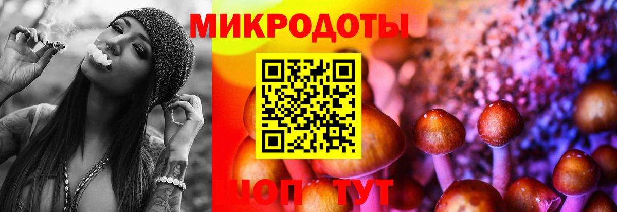 Галлюциногенные грибы мухоморы Крымск